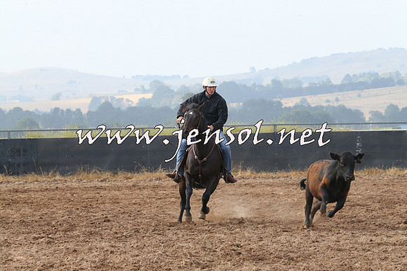 BraidwoodCampdraft2014_0155