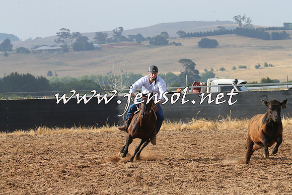 BraidwoodCampdraft2014_0150