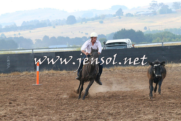 BraidwoodCampdraft2014_0068