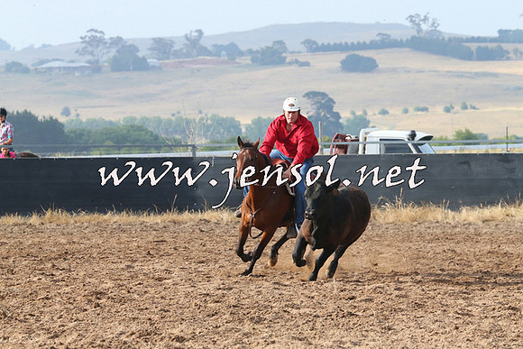 BraidwoodCampdraft2014_0128