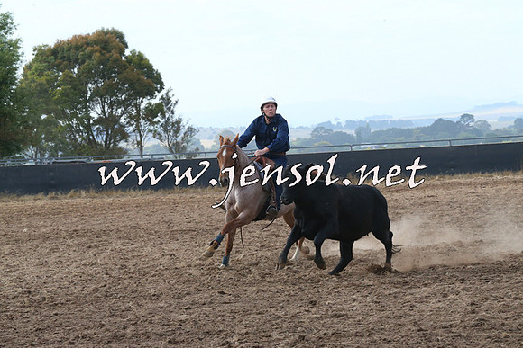 BraidwoodCampdraft2014_0194