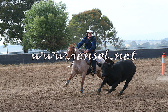 BraidwoodCampdraft2014_0196