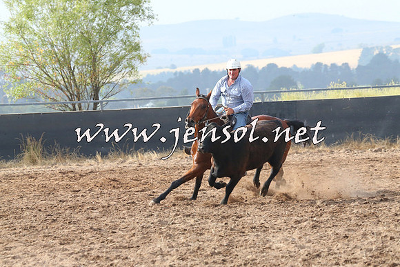 BraidwoodCampdraft2014_0169