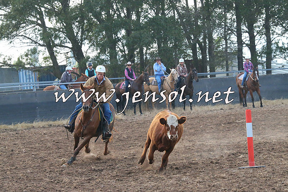 BraidwoodCampdraft2014_0034