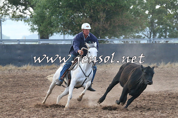 BraidwoodCampdraft2014_0064