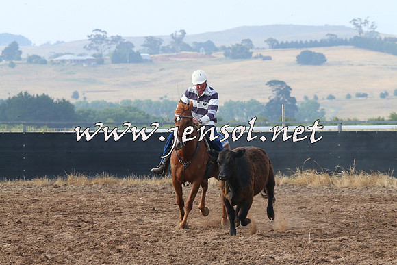 BraidwoodCampdraft2014_0105