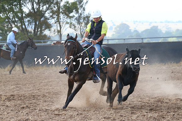 BraidwoodCampdraft2014_0178