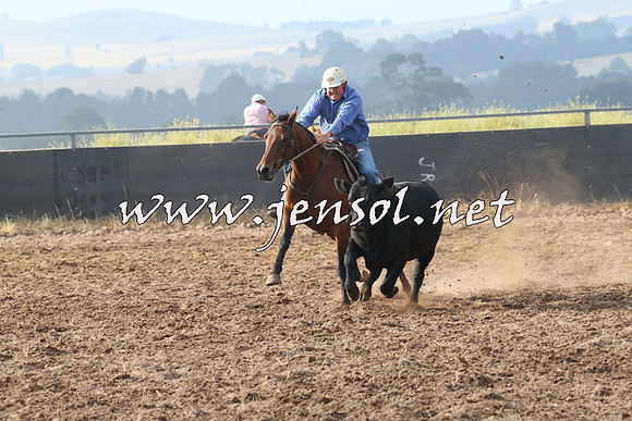 BraidwoodCampdraft2014_0118
