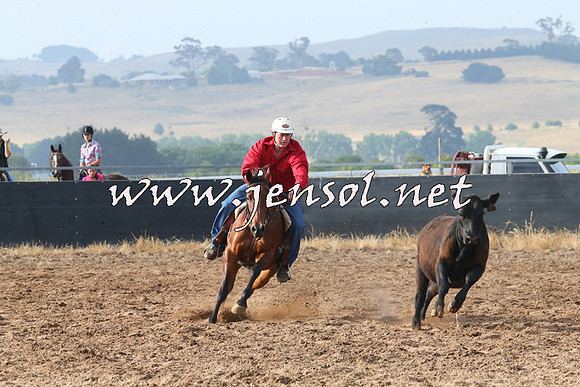 BraidwoodCampdraft2014_0133