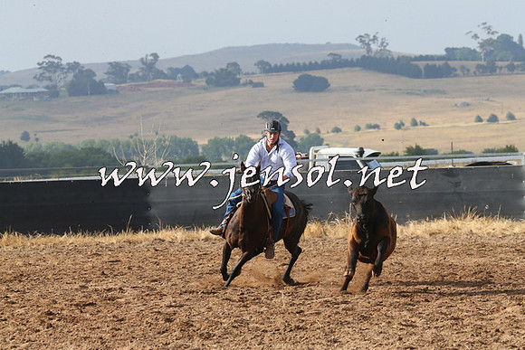 BraidwoodCampdraft2014_0148