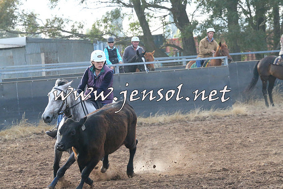 BraidwoodCampdraft2014_0051