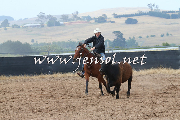 BraidwoodCampdraft2014_0227