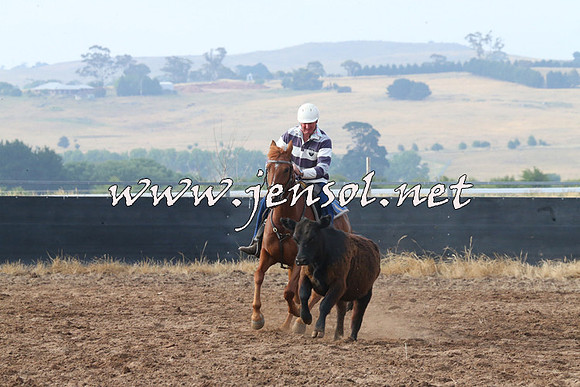BraidwoodCampdraft2014_0106
