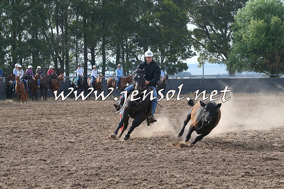 BraidwoodCampdraft2014_0161