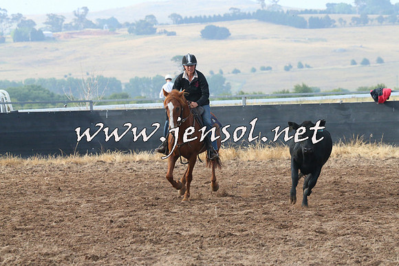 BraidwoodCampdraft2014_0074