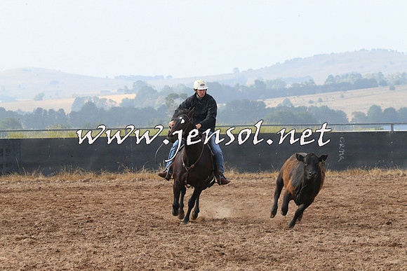 BraidwoodCampdraft2014_0154