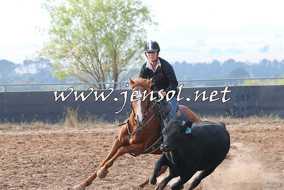 BraidwoodCampdraft2014_0080