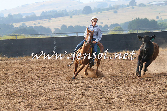 BraidwoodCampdraft2014_0091