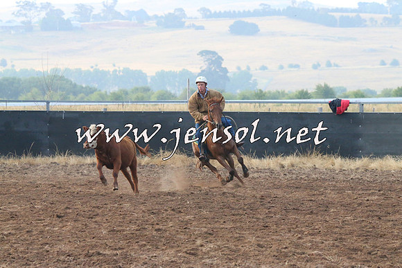 BraidwoodCampdraft2014_0032