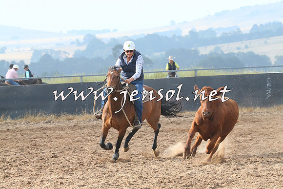BraidwoodCampdraft2014_0145