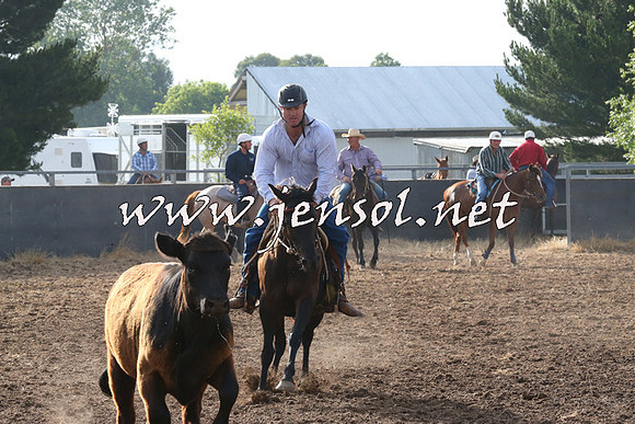BraidwoodCampdraft2014_0151