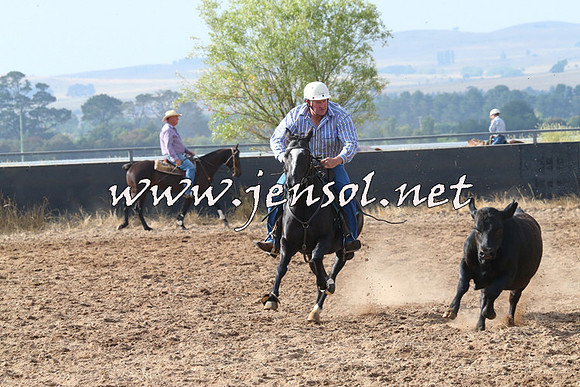 BraidwoodCampdraft2014_0206