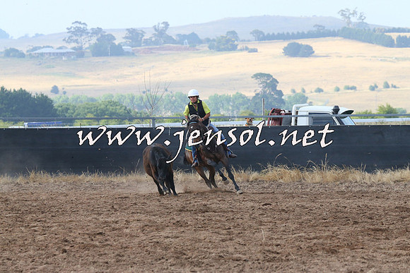 BraidwoodCampdraft2014_0177