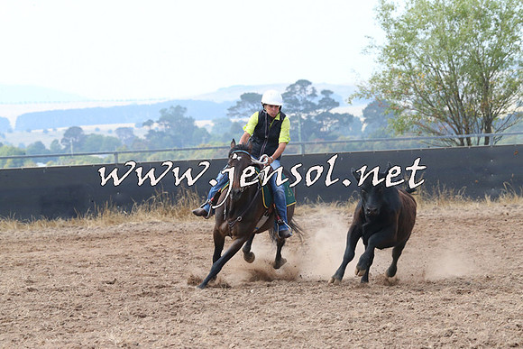BraidwoodCampdraft2014_0252
