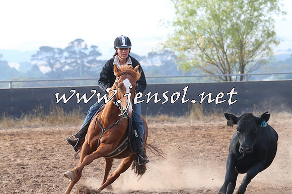 BraidwoodCampdraft2014_0076