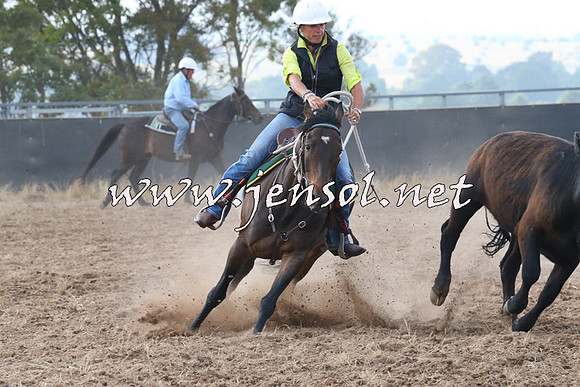BraidwoodCampdraft2014_0182
