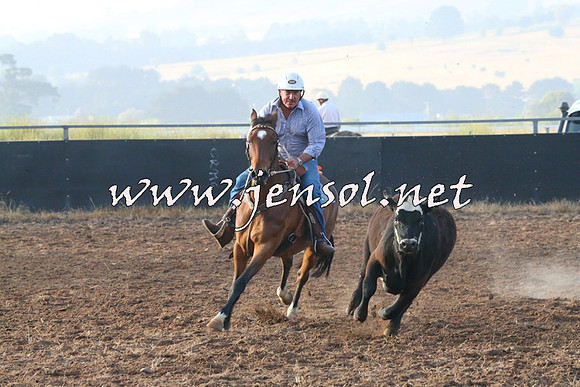 BraidwoodCampdraft2014_0003