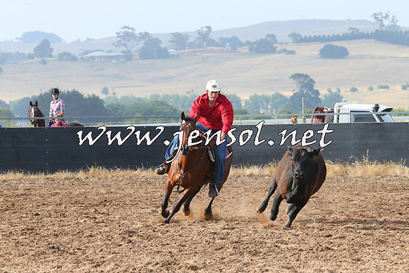 BraidwoodCampdraft2014_0136