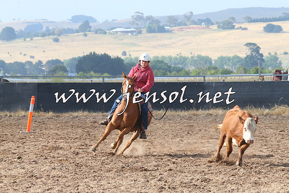 BraidwoodCampdraft2014_0200