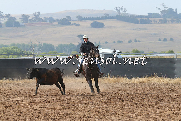 BraidwoodCampdraft2014_0157