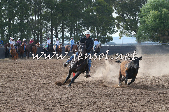 BraidwoodCampdraft2014_0164