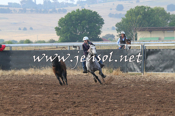 BraidwoodCampdraft2014_0046