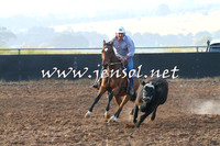 BraidwoodCampdraft2014_0006