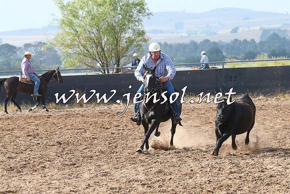 BraidwoodCampdraft2014_0210