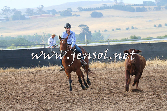 BraidwoodCampdraft2014_0086