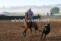 BraidwoodCampdraft2014_0009