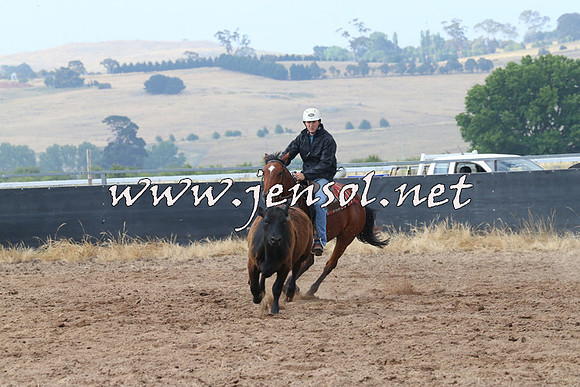 BraidwoodCampdraft2014_0226