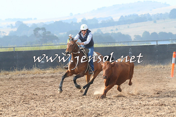 BraidwoodCampdraft2014_0146