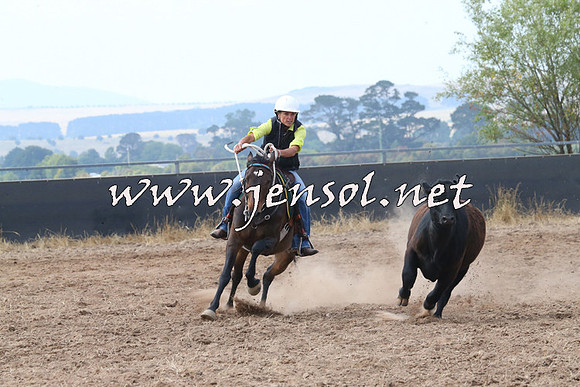 BraidwoodCampdraft2014_0243
