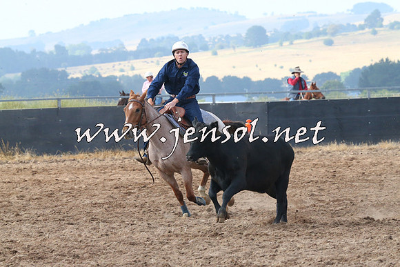 BraidwoodCampdraft2014_0189