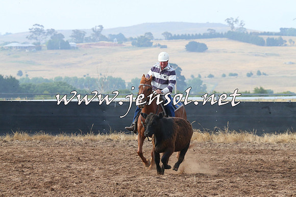 BraidwoodCampdraft2014_0108