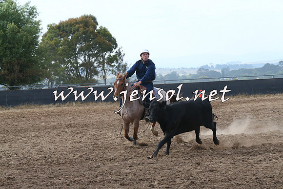 BraidwoodCampdraft2014_0192