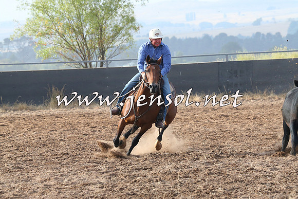 BraidwoodCampdraft2014_0125