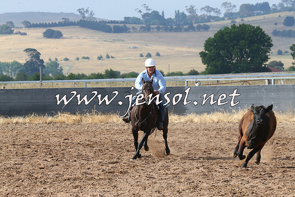 BraidwoodCampdraft2014_0213
