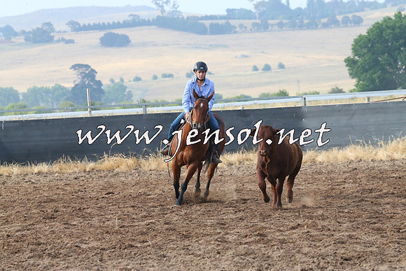 BraidwoodCampdraft2014_0085