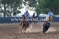 BraidwoodCampdraft2014_0012